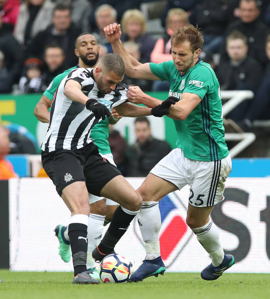 的明日之星 的明日之星