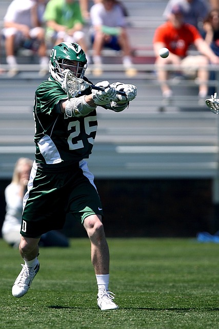 的体系下 的体系下