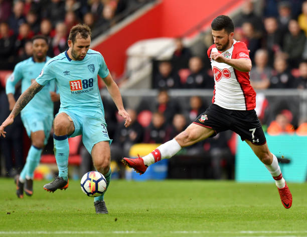 沃格特曼 沃格特曼