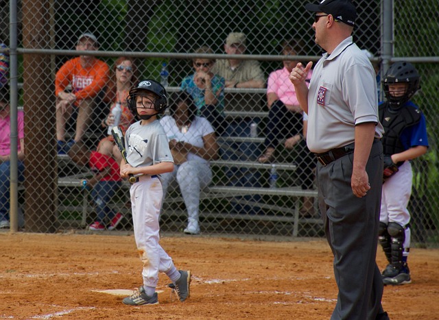 比的答卷 比的答卷