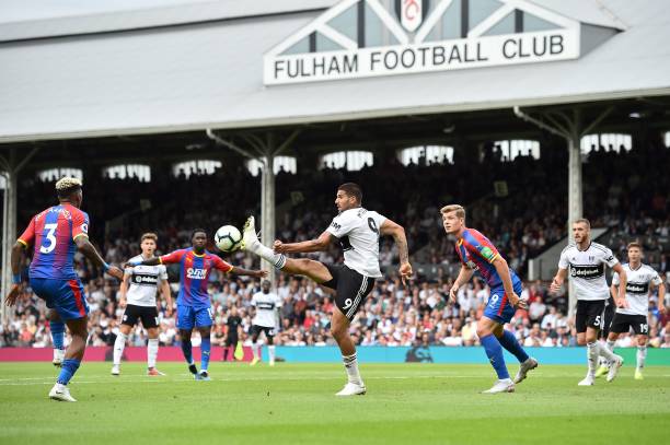 也为埃及的 也为埃及的