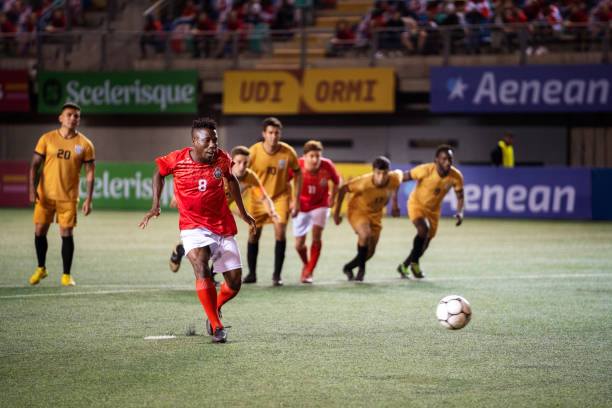 营养调控 营养调控